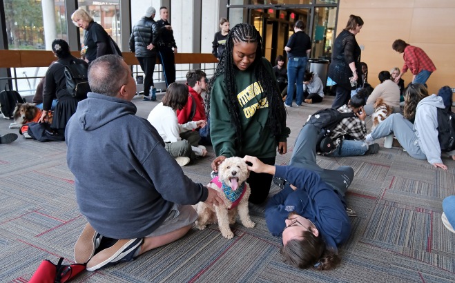Students playing with therapy dogs on floor in main lounge