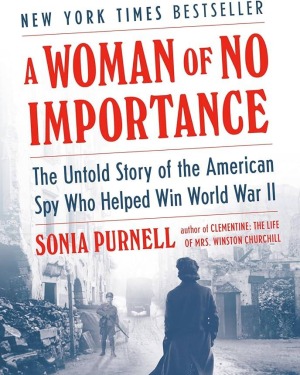 Cover of Woman of no Importance Book