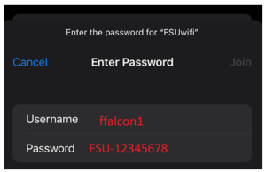 Image showing the screen where you enter your Falcon Key