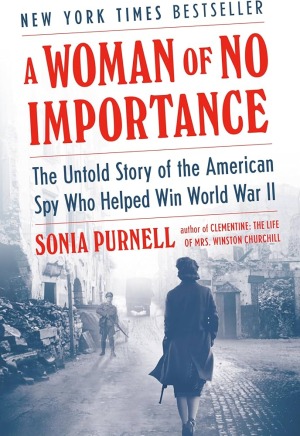 Cover of A Woman of No Importance